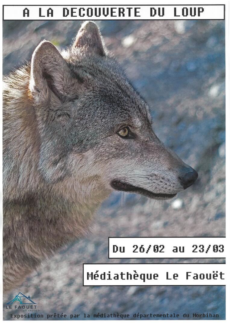 A la découverte du loup - Médiathèque du Morbihan.jpg