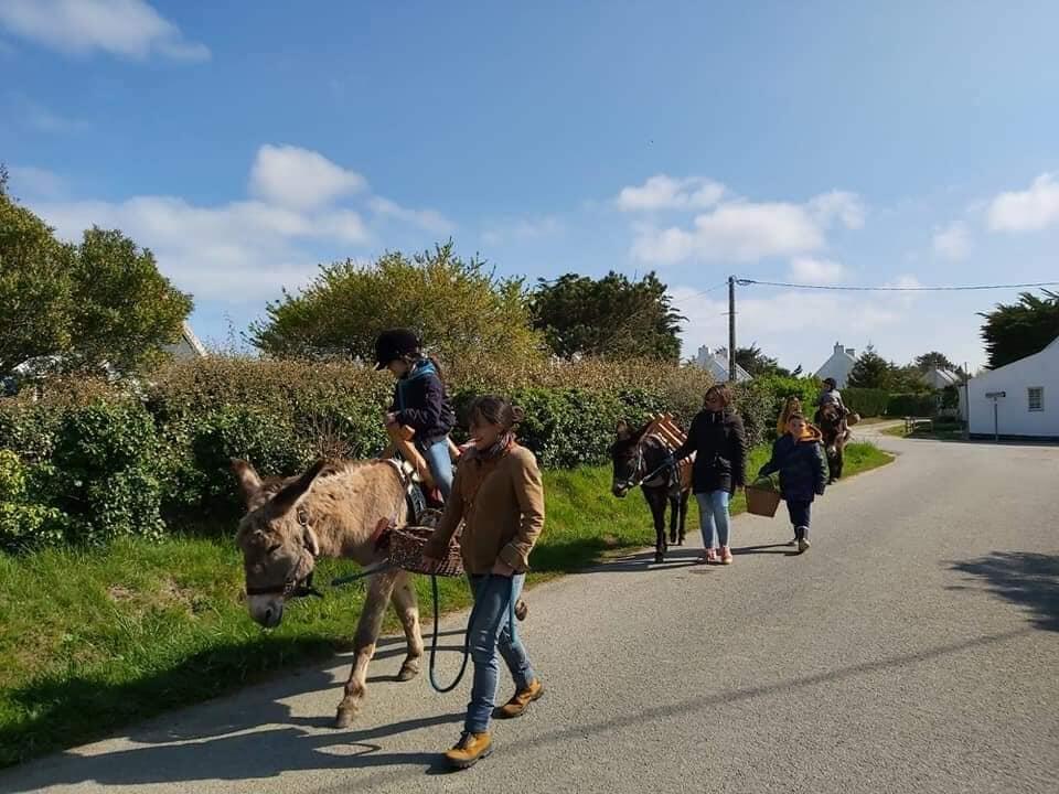 Chasse aux oeufs - Belle Ile en Ane 1.jpg