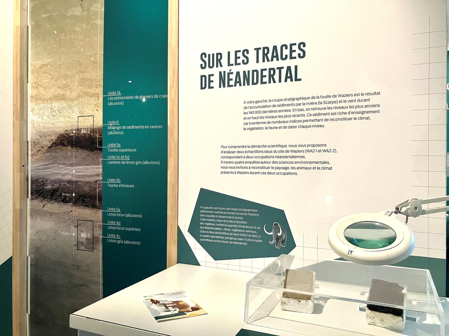 atelier paleo defi - Musée-parc Arkéos Douai.jpg