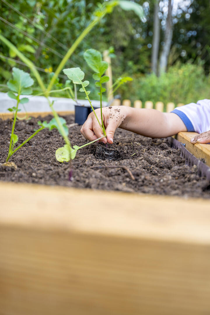 iStock-496255774.jpg