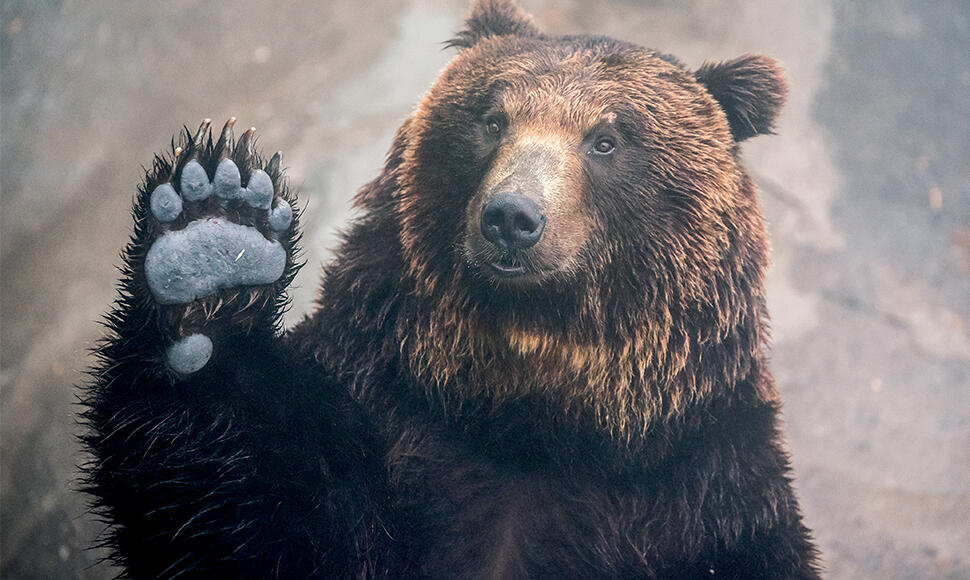 ours-a-z.jpg