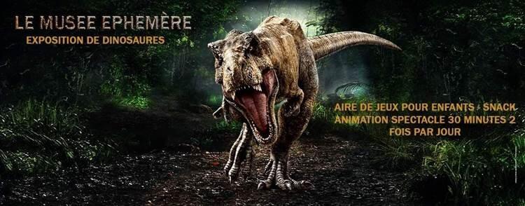 dinosaures.jpg