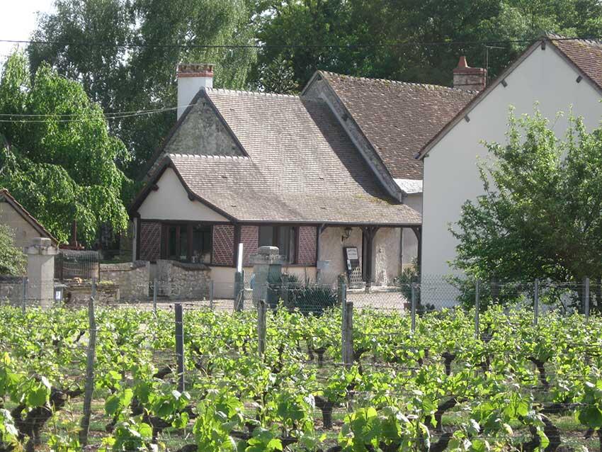 domaine_octavie_001.JPG