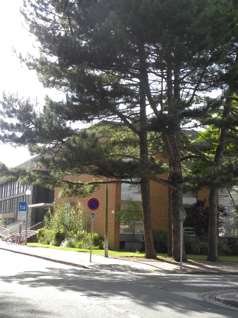 Musée des Beaux Arts Photo Office de Tourisme.JPG