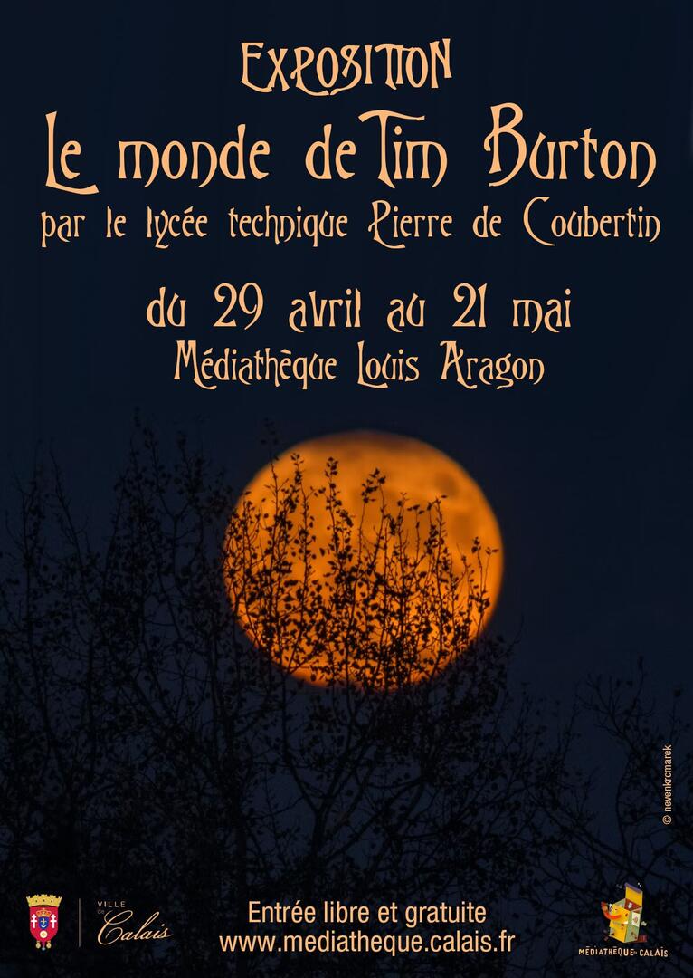 6242a88a72e7e55653dabc44Exposition Tim Burton - MLA -29 avril au 21 mai.jpg
