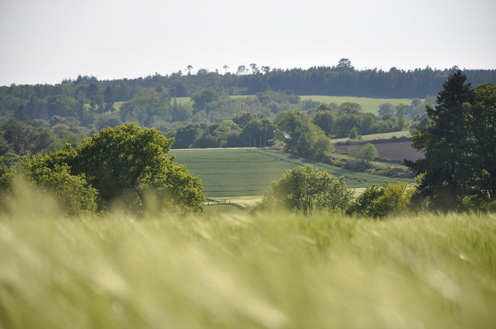 Photo générique paysage - nature - vallée ©Sarah Bourveau (1).JPG