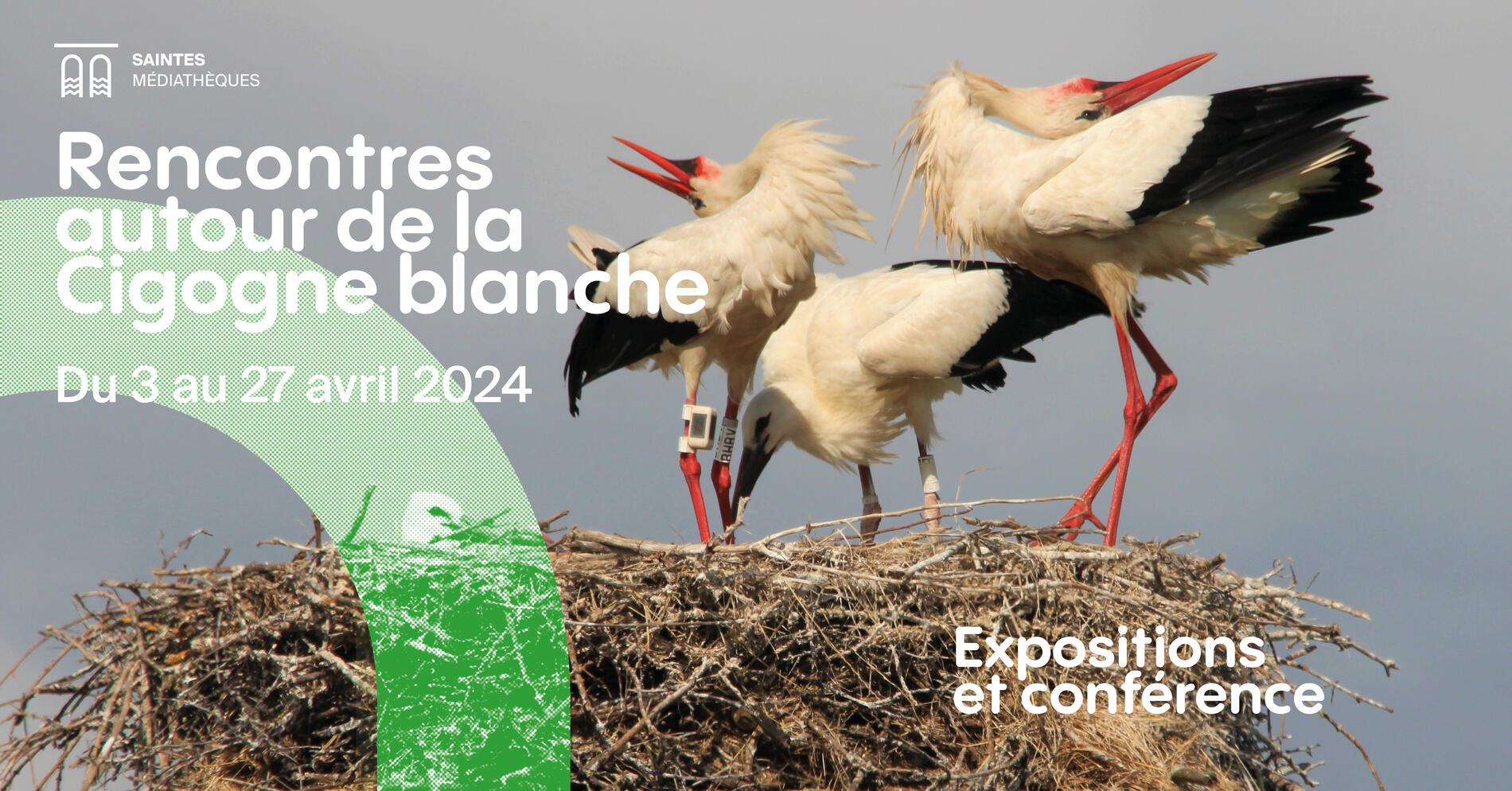 Bandeau_evenement-Cigogne_Blanche.jpg