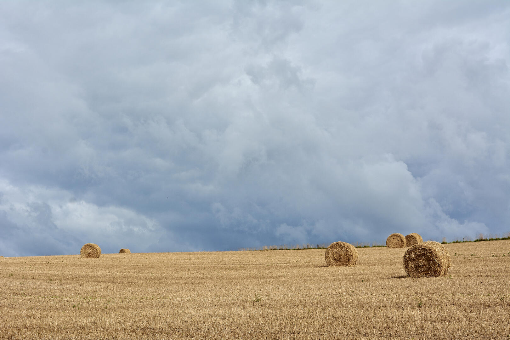 rouleau paille - HD - @M-A Gouret-Puillandre.jpg