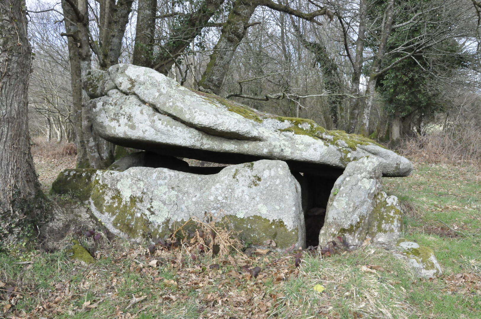 Sortie_Archeo_Plouray®OTPRM.JPG