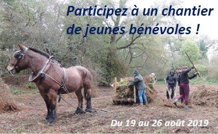 chantier.jpg