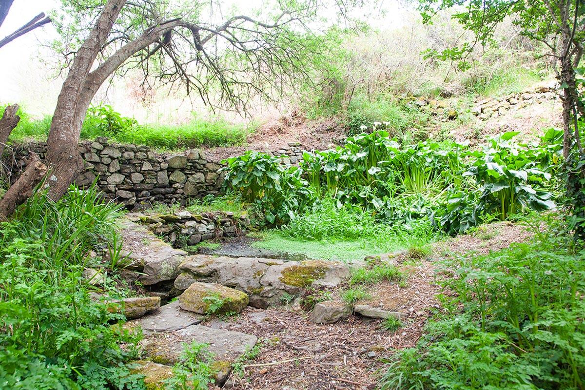 lavoir.jpg