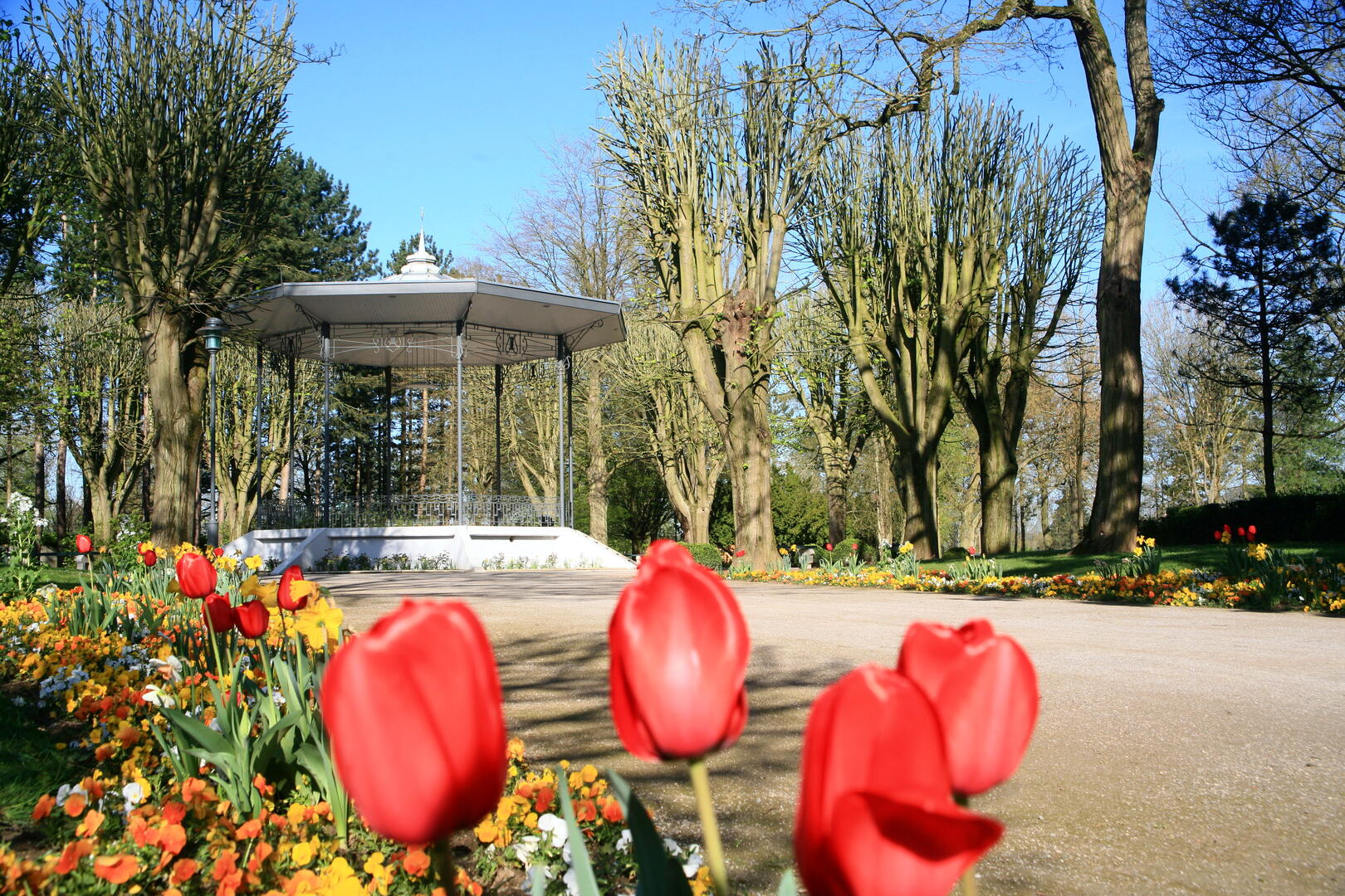 Stade-Parc (fleurs) (5).jpg