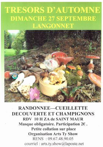 tresors d'automne.jpg