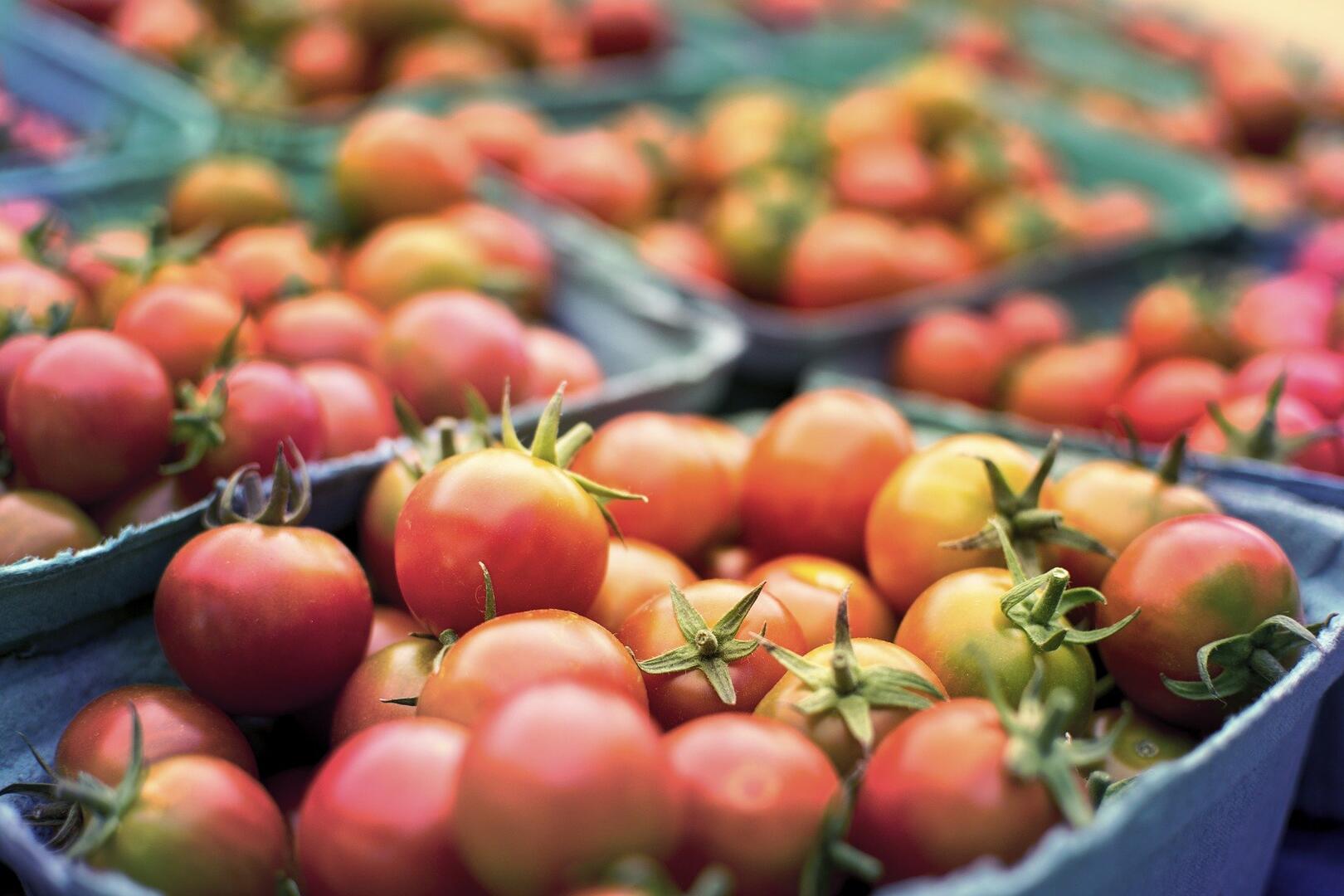 tomato-2556426_1920.jpg
