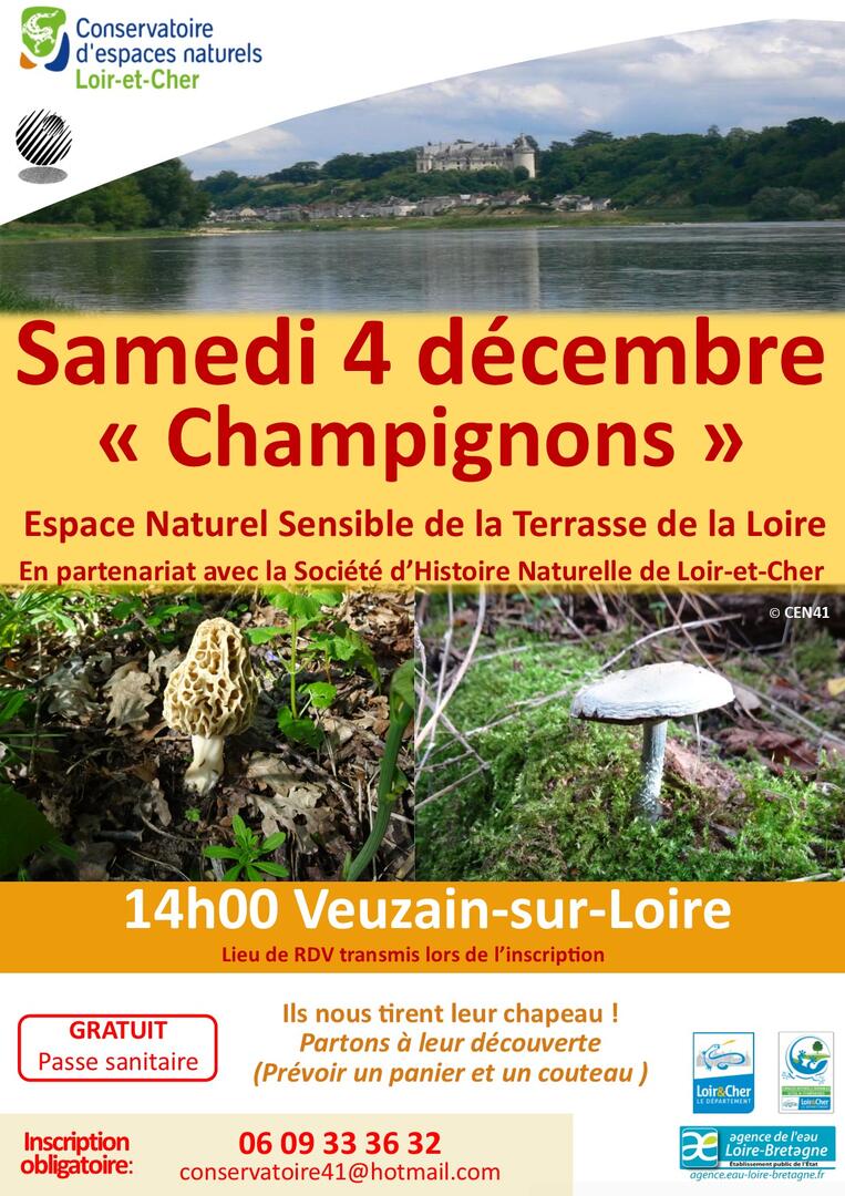 04_12_2021_Terrasse de la Loire champignons2(1).jpg