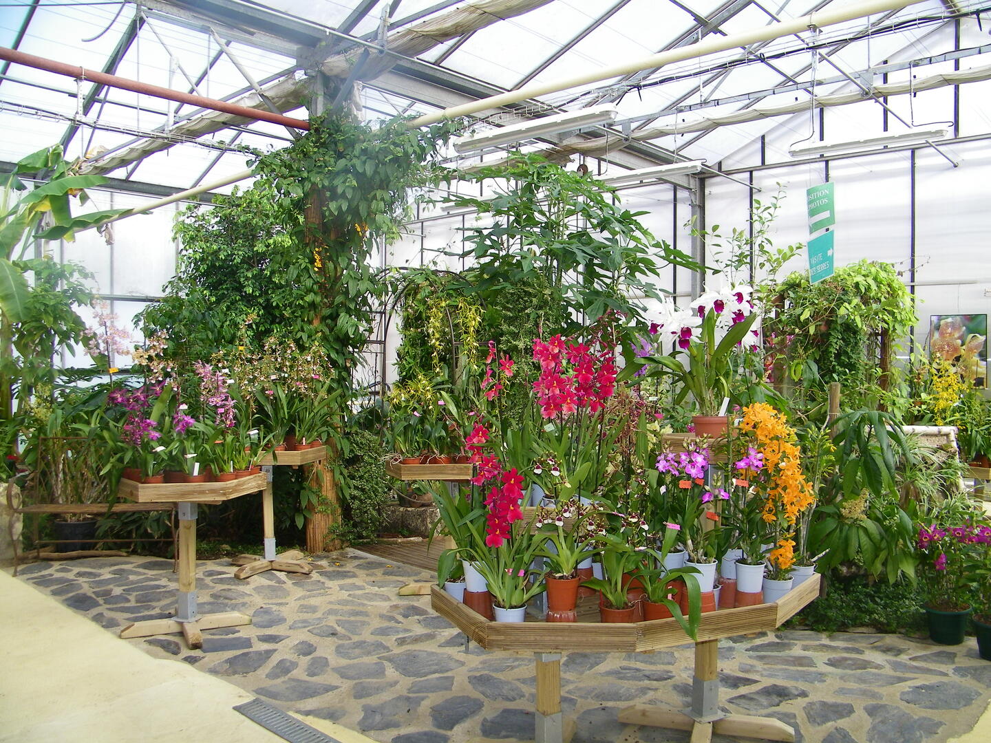 L'Orchidium.JPG