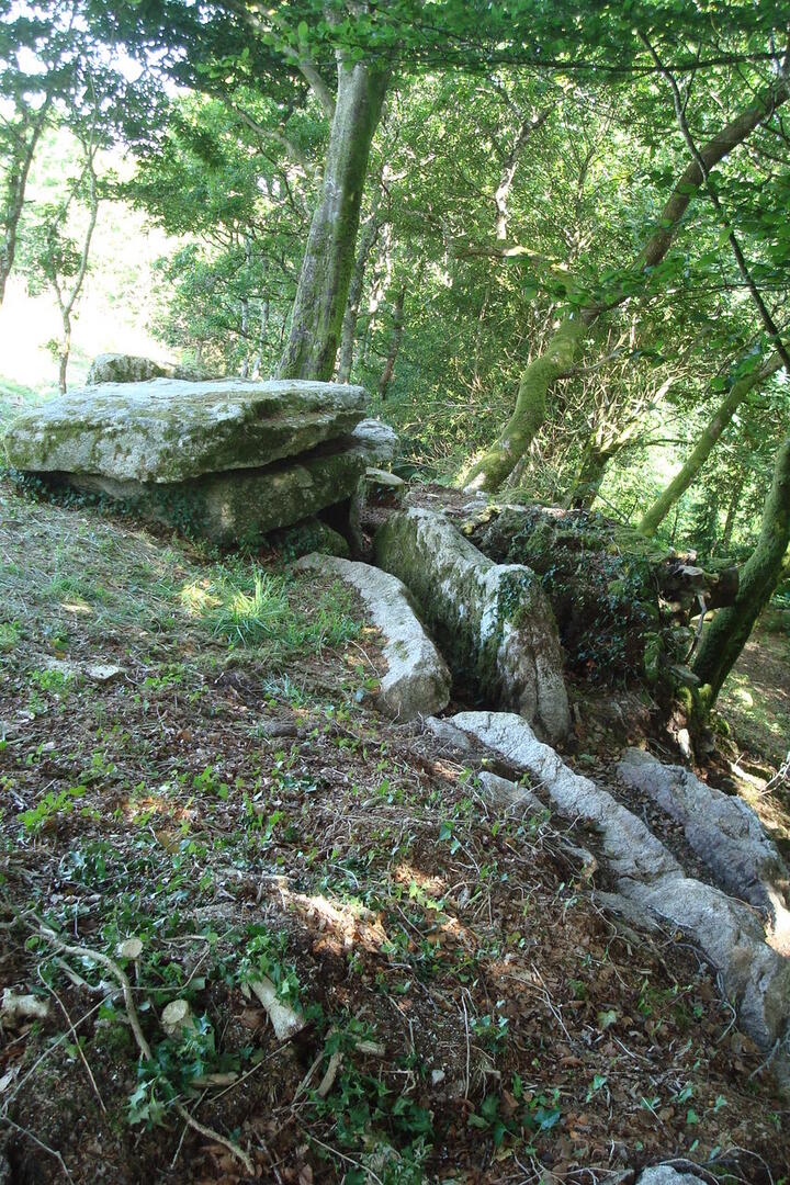 AlléecouvertedeKeroual_Lanvenegen.jpg