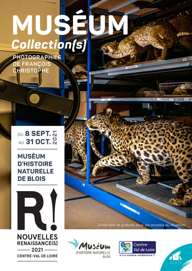 Museum_Affiche.jpg