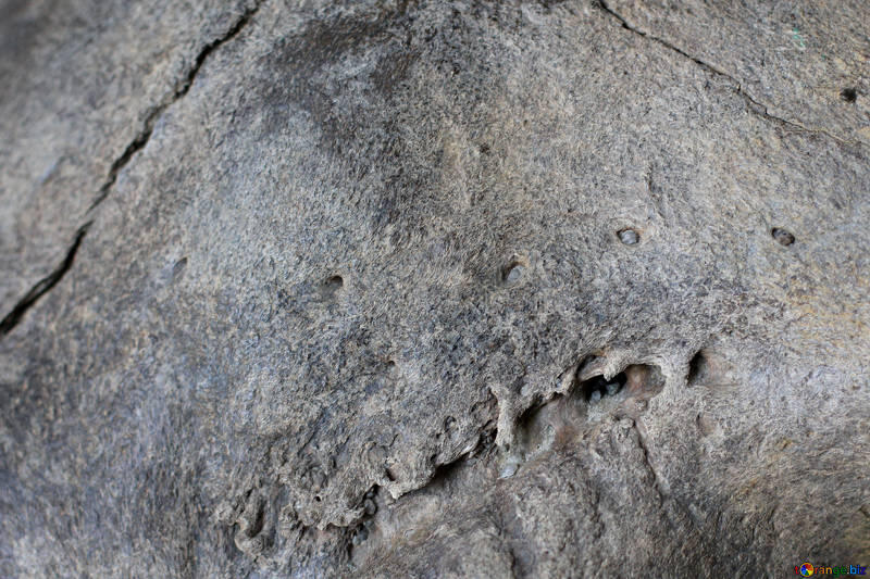 stone-texture-rock-cut-old-39370.jpg