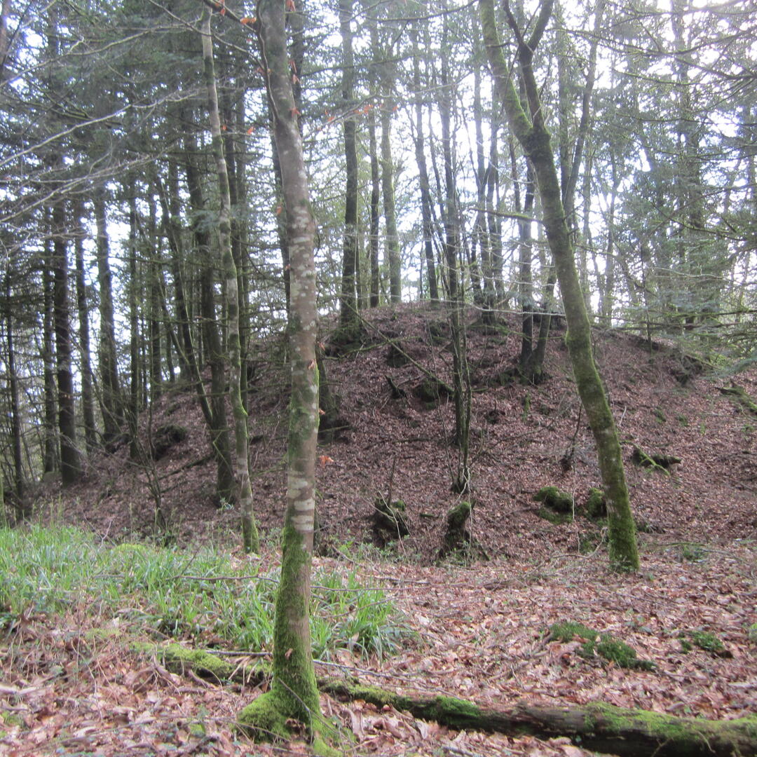 Eperon barré de Cadelac (2).JPG