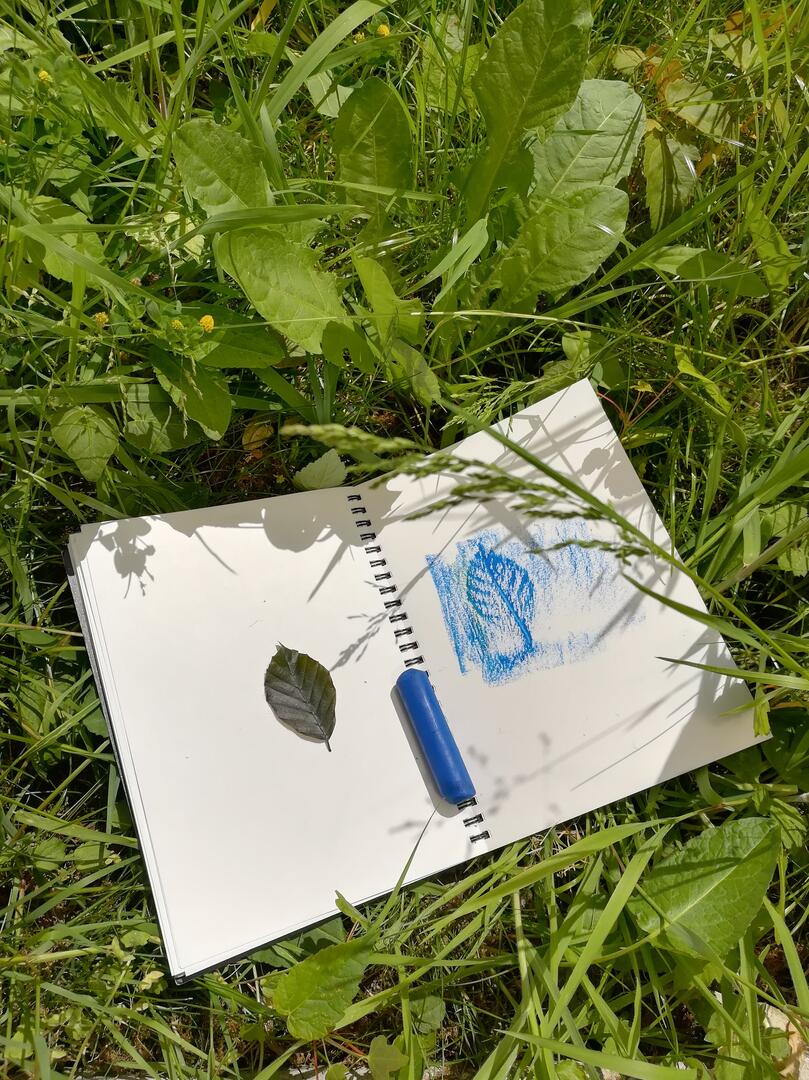 atelier-labanque-tampons-naturels-photo-e-lebas.jpg