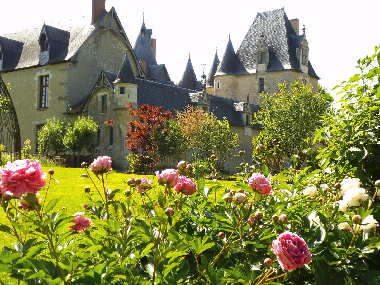 Autour du jardin visite commentée Fougères crédit CMN.JPG
