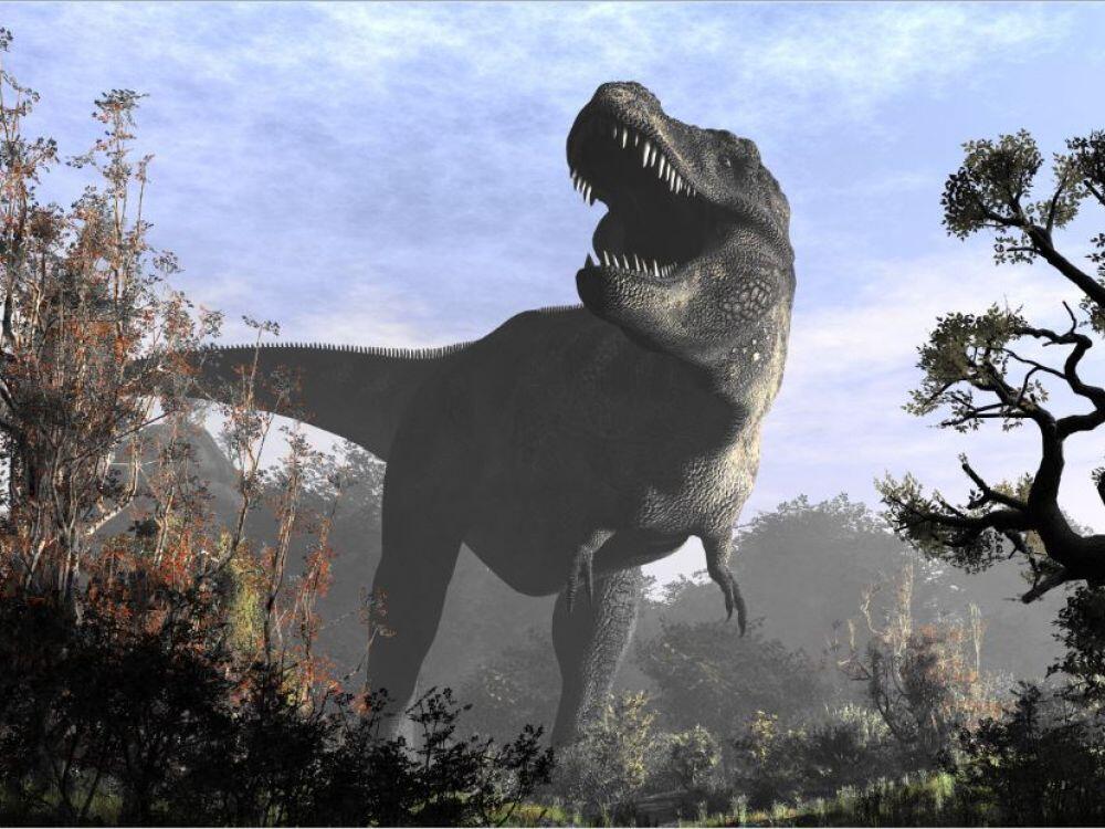 exposition Jurassic aventure 16 au 18 mai.jpg