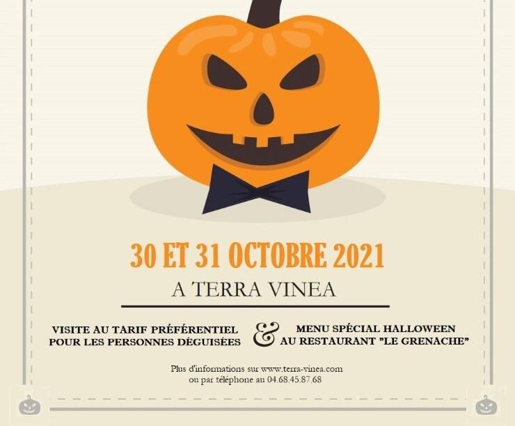 Affiche Terr'halloween_redi.jpg