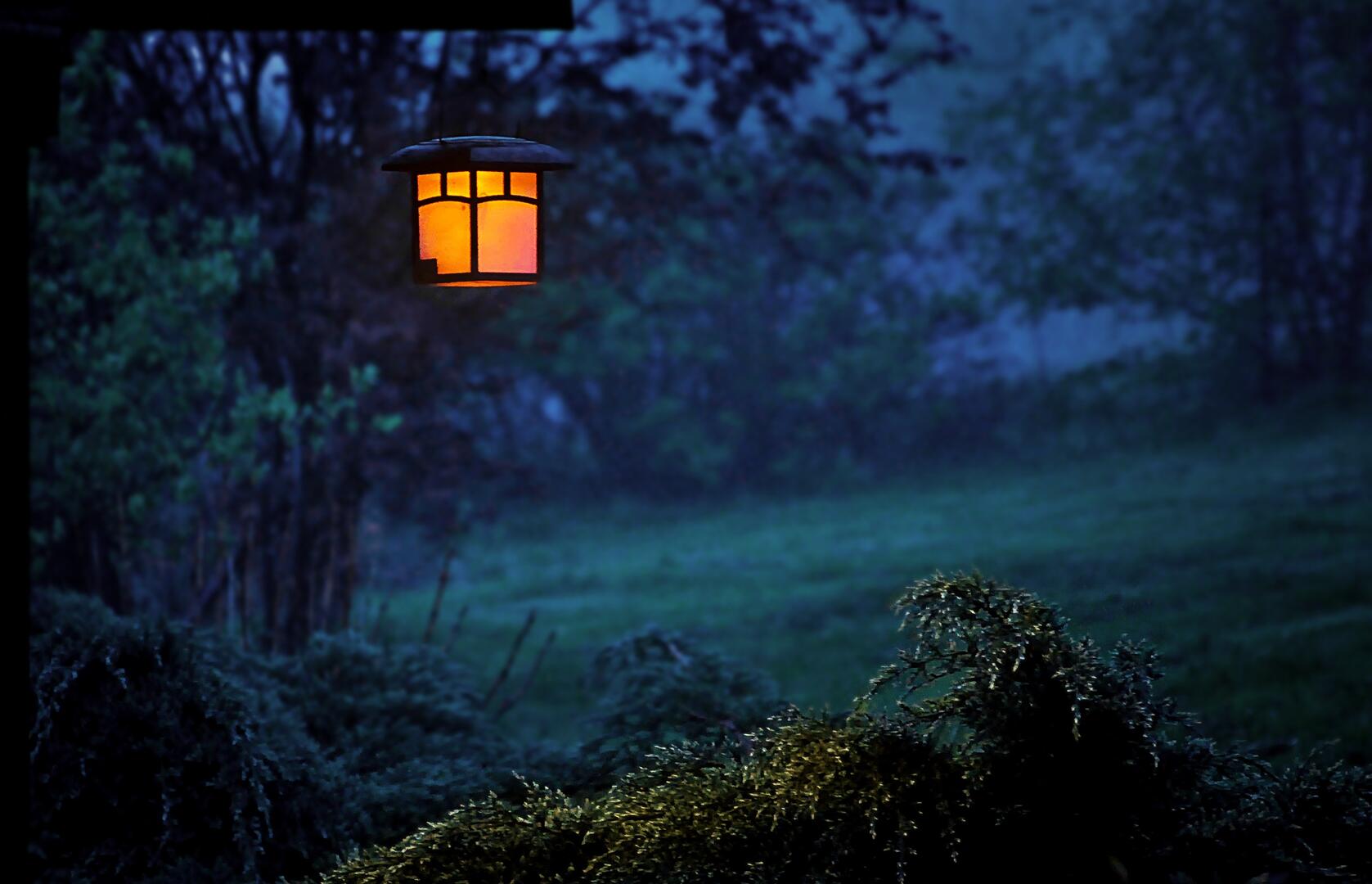 23 juin - sortie nocturne.jpg