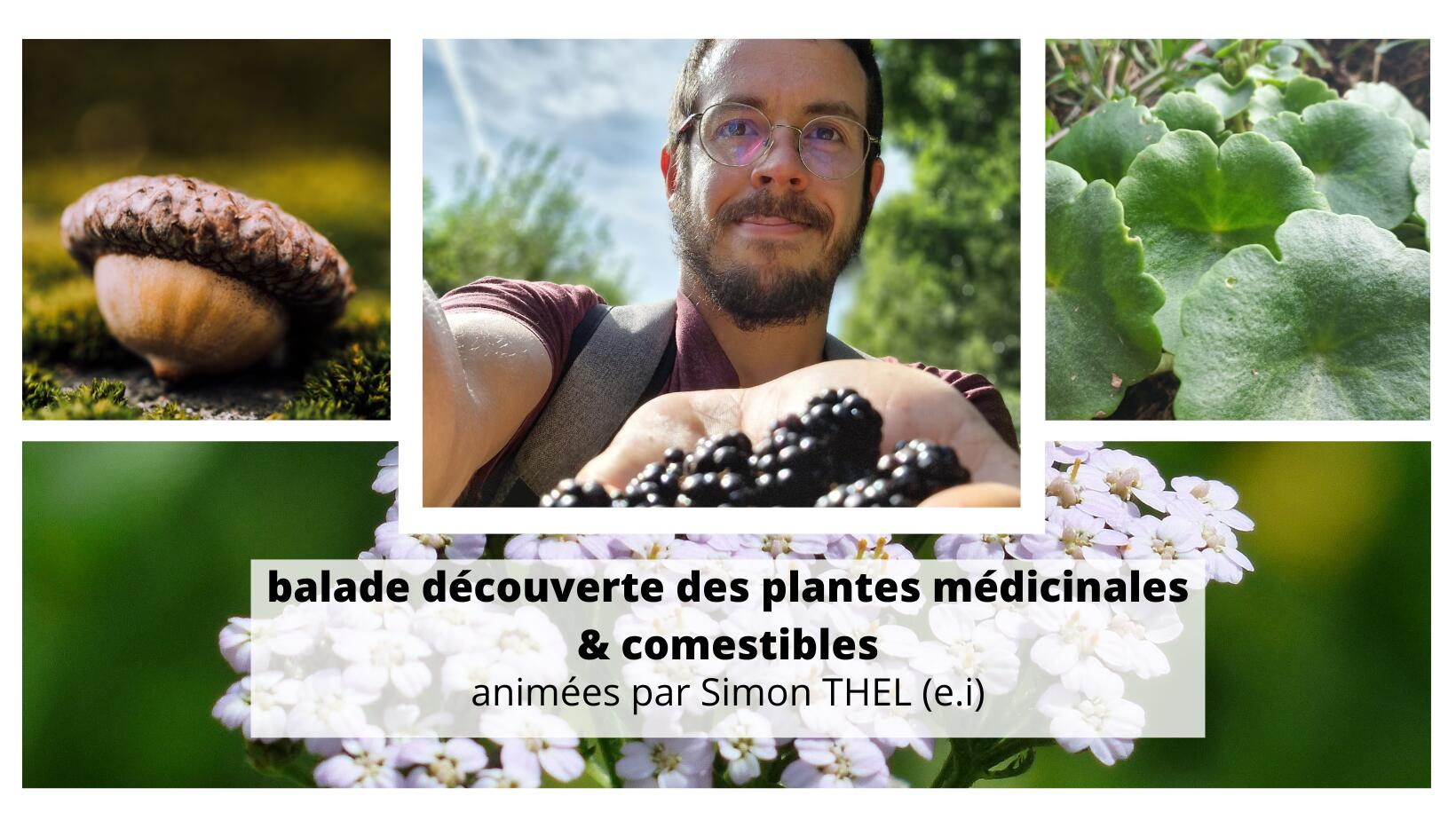 Sorties_Botaniques_Gourin_2022.jpeg