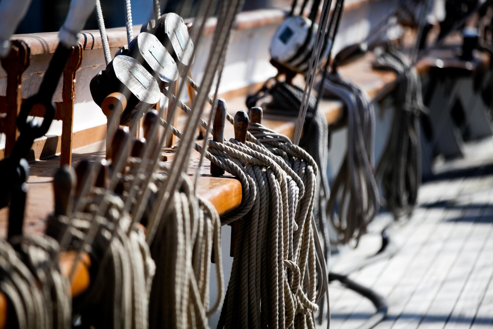 Détail_4©_PierreVolot.jpg