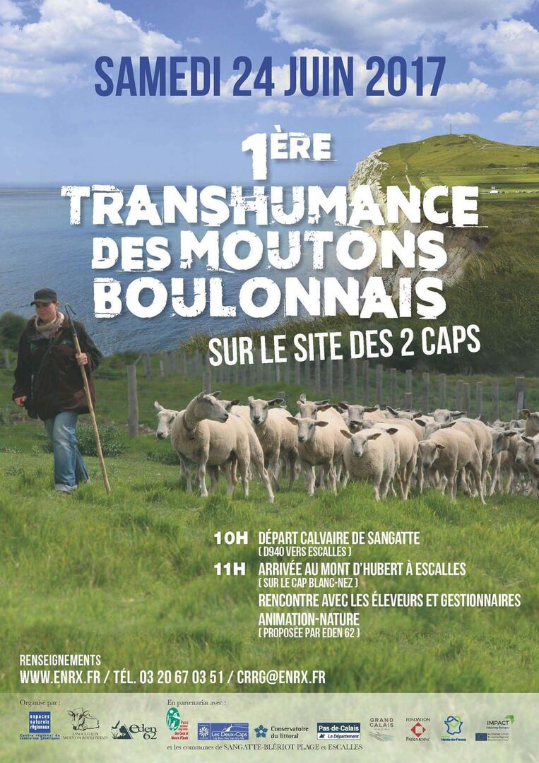 transhumance.jpg