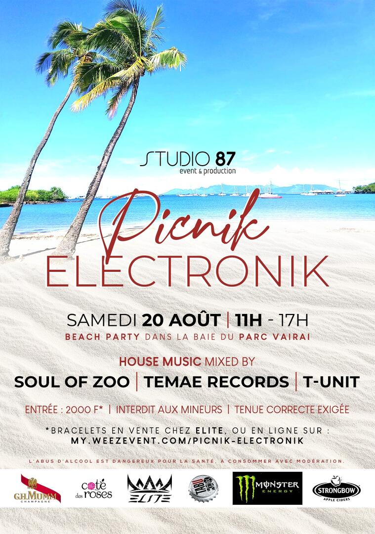 Visuel_Event_Picnik Electronik.jpg