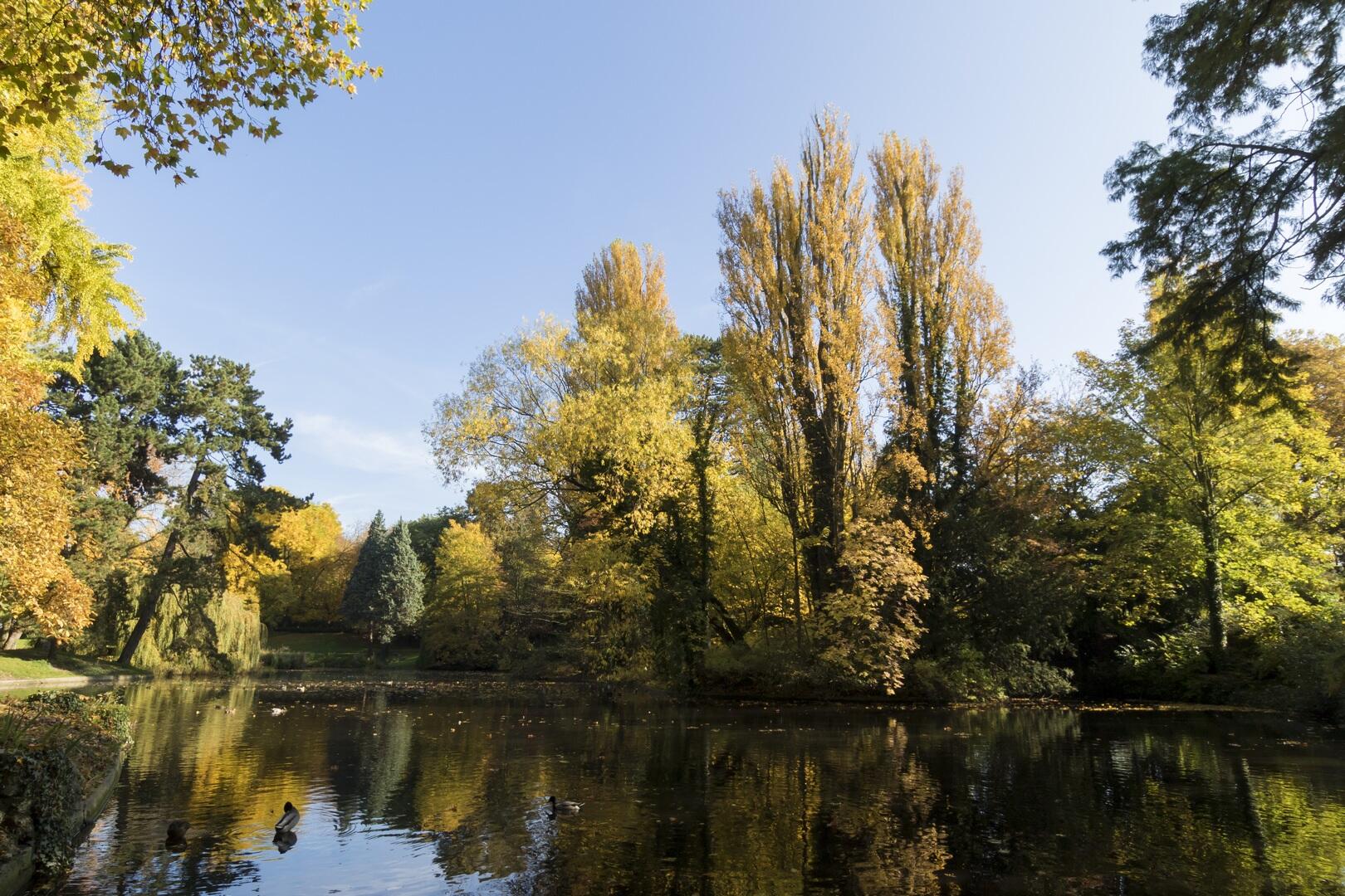 Parc-Bertin-Douai-nature-Douaisis-Nord-France (c) AD Langlet (5).jpg