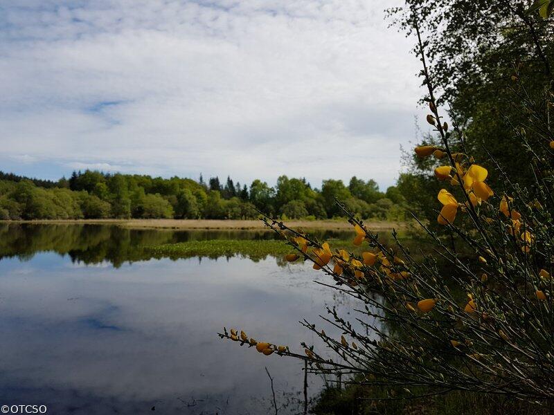 la-tourbiere-de-letang-du-bourdeau.jpg.800x800_q85_watermark-2a389bbe04d29ea4aefde1c3361725b3.jpg