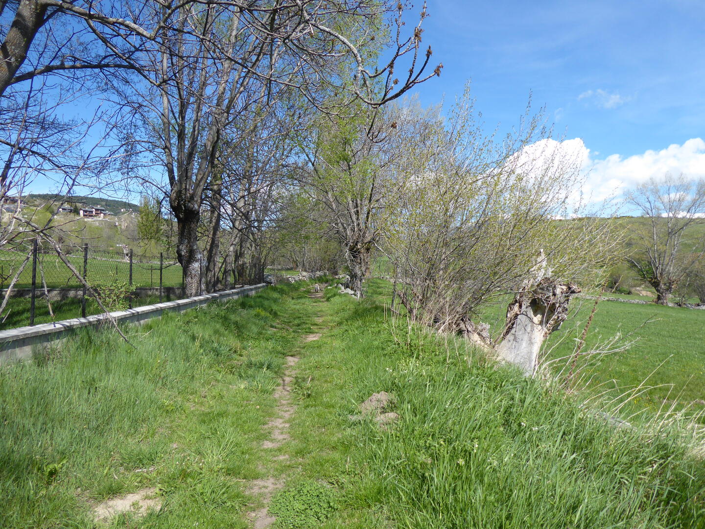 Creu de Fé - 1.JPG