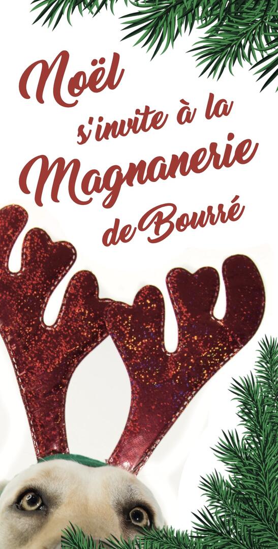 Visuel Noël.jpg