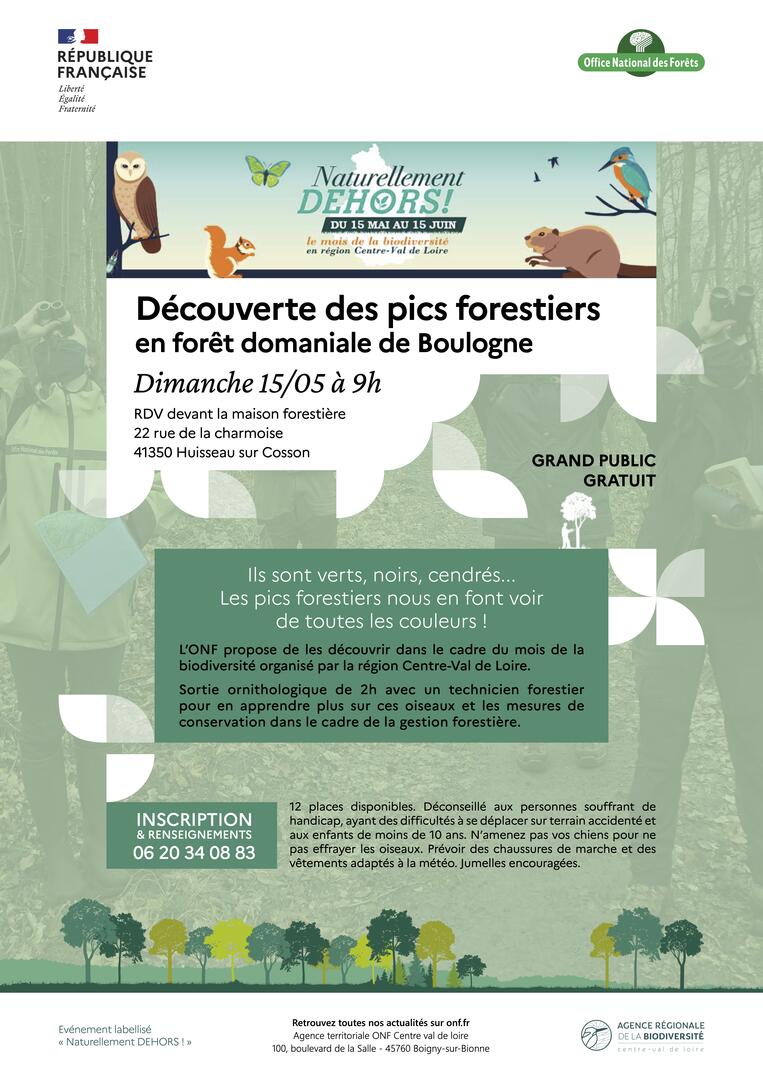 ONF_découverte des pics en FD Boulogne.jpg