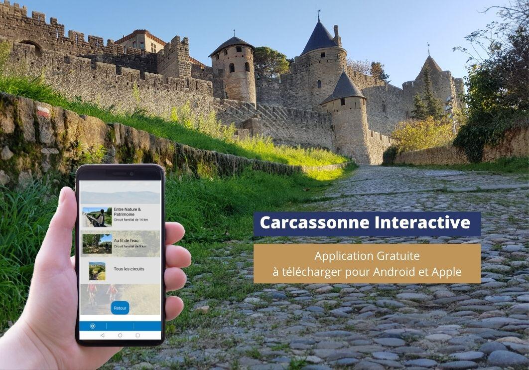 carca interactive.jpg