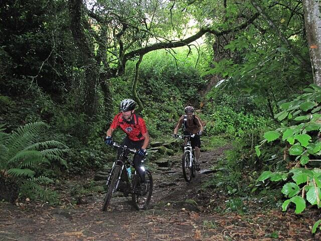 vtt1.JPG