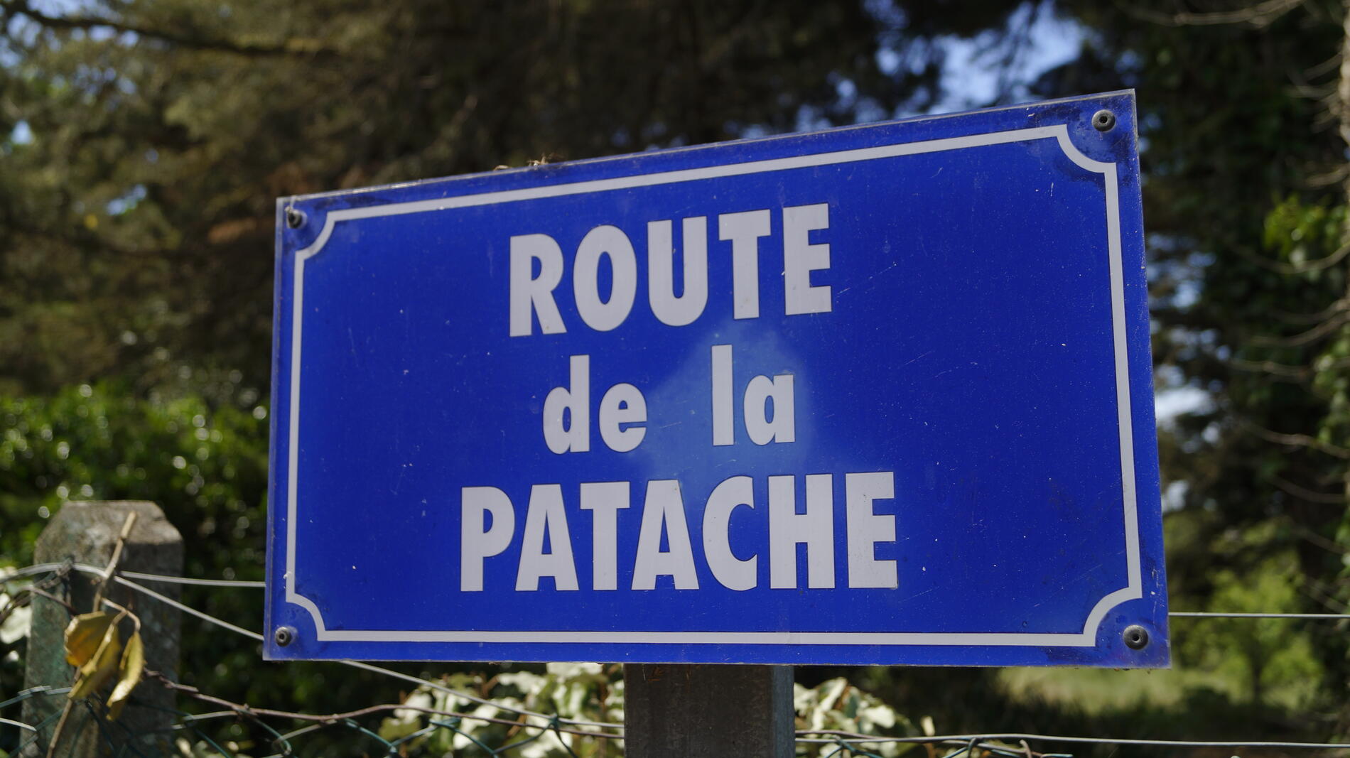 la-patache---les-portes-en-re©Pierre GALINE.jpg
