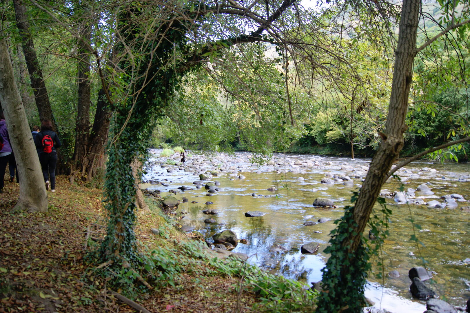 sur les rives de l'Ariège.jpg