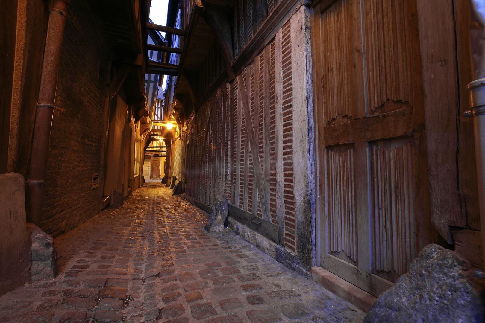 RUELLE CHATS.jpg