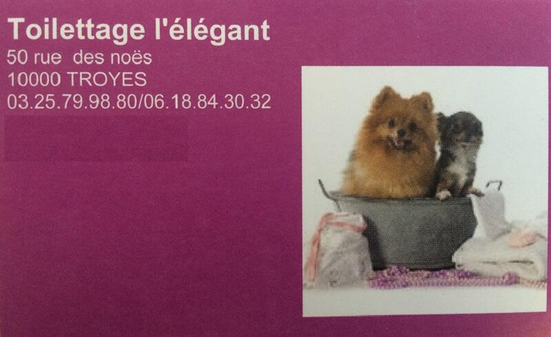 toilettage l'élégant.JPG