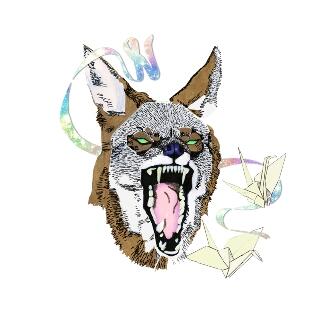 hiatuskaiyote.jpg