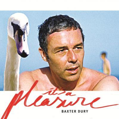 Visuel concert Baxter Dury.jpg