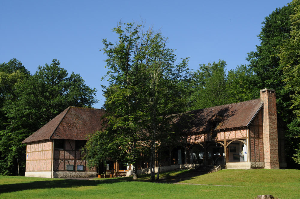 Photo_1.jpg