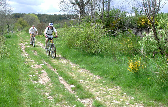 VTT-5.jpg