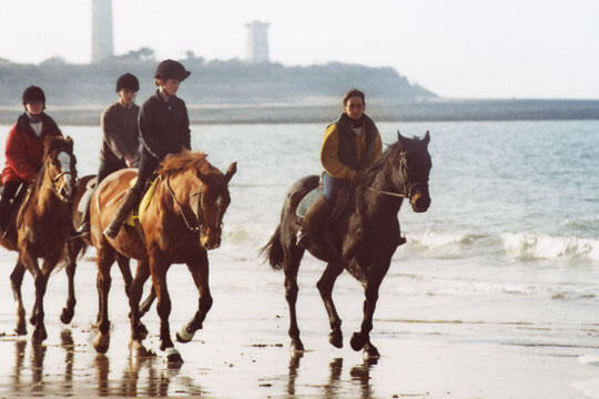 centre-equestre-re.jpg