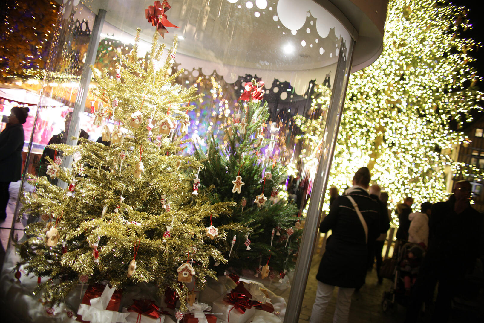 AC - illuminations 2014 (6).JPG